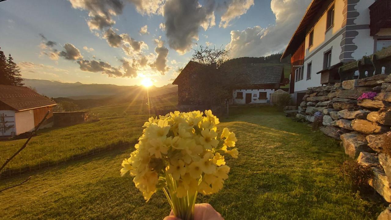 Appartamento Schweizer Hof Tamsweg Esterno foto